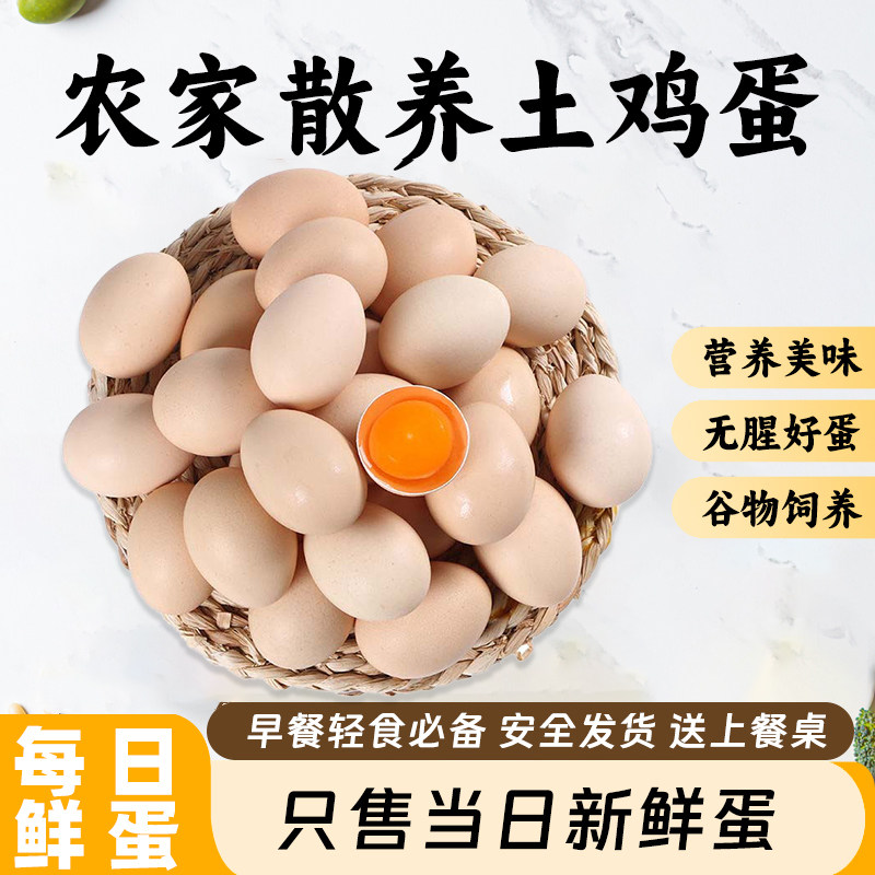 散养农家土鸡蛋新鲜现发正宗五谷喂养新鲜直达10枚装