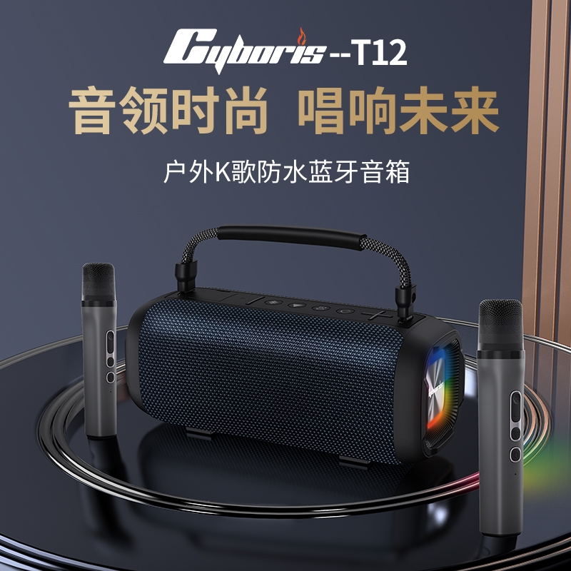 2025新款蓝牙音箱立体声低音炮家庭ktv户外k歌唱歌话筒音响一体