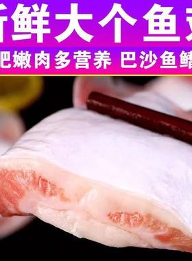 新鲜巴沙鱼鳍冷冻鱼翅鱼鳍回鱼下巴巴沙鱼翅鱼下巴家庭装鱼翅冷冻