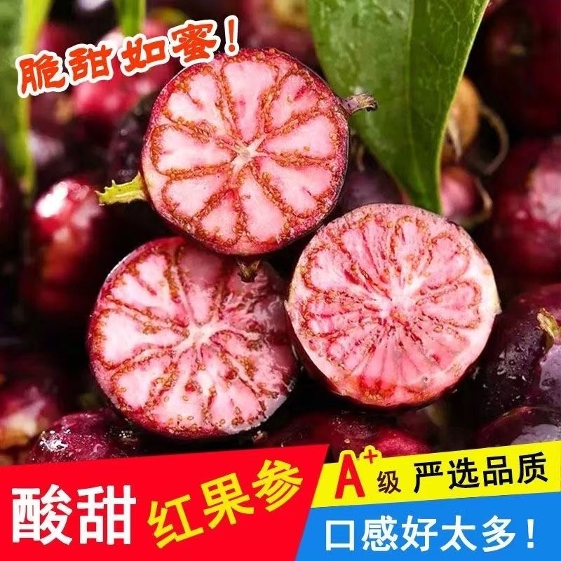稀有大果云南新鲜稀有水果红果参蜘蛛果云南蓝莓现摘