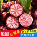 稀有大果云南新鲜稀有水果红果参蜘蛛果云南蓝莓现摘