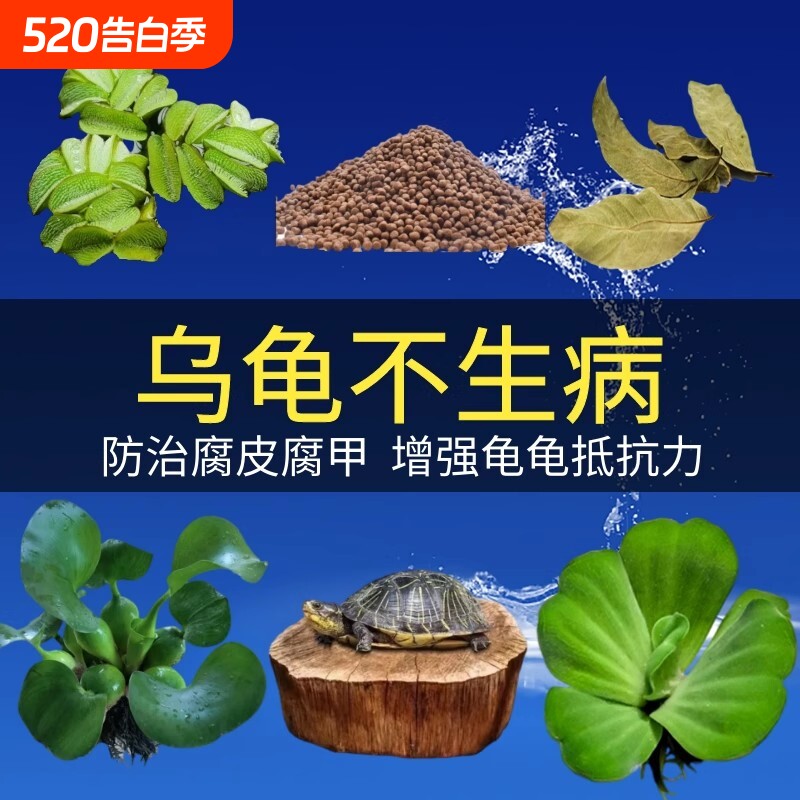 乌龟缸养龟专用高山龙眼木造景装饰水草乌龟晒背台套餐防腐皮腐甲