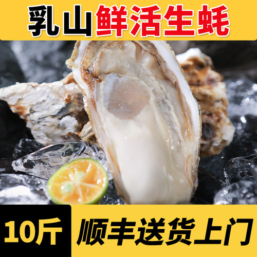 乳山生蚝鲜活特大牡蛎带壳生吃海蛎子新鲜海鲜水产带箱10斤顺丰