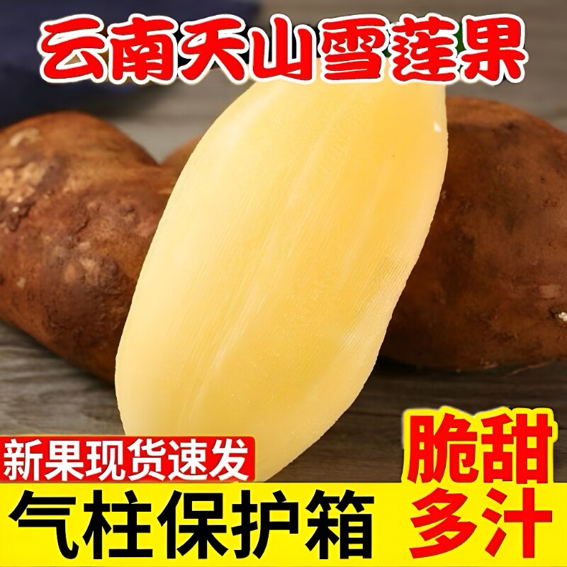 现挖正宗云南天山雪莲果脆甜水果应季新鲜水果清甜整箱批发价