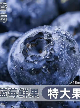 丹东蓝莓产地直发新鲜花香东港当季鲜果孕妇水果现摘大果包邮一颗
