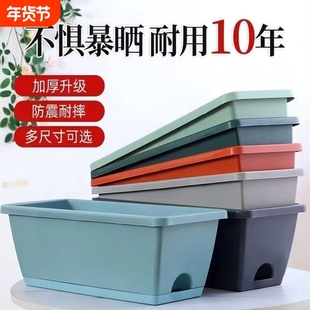 花盆阳台种菜盆蔬菜种植草莓盆栽专用箱长方形家用塑料长条盆种花