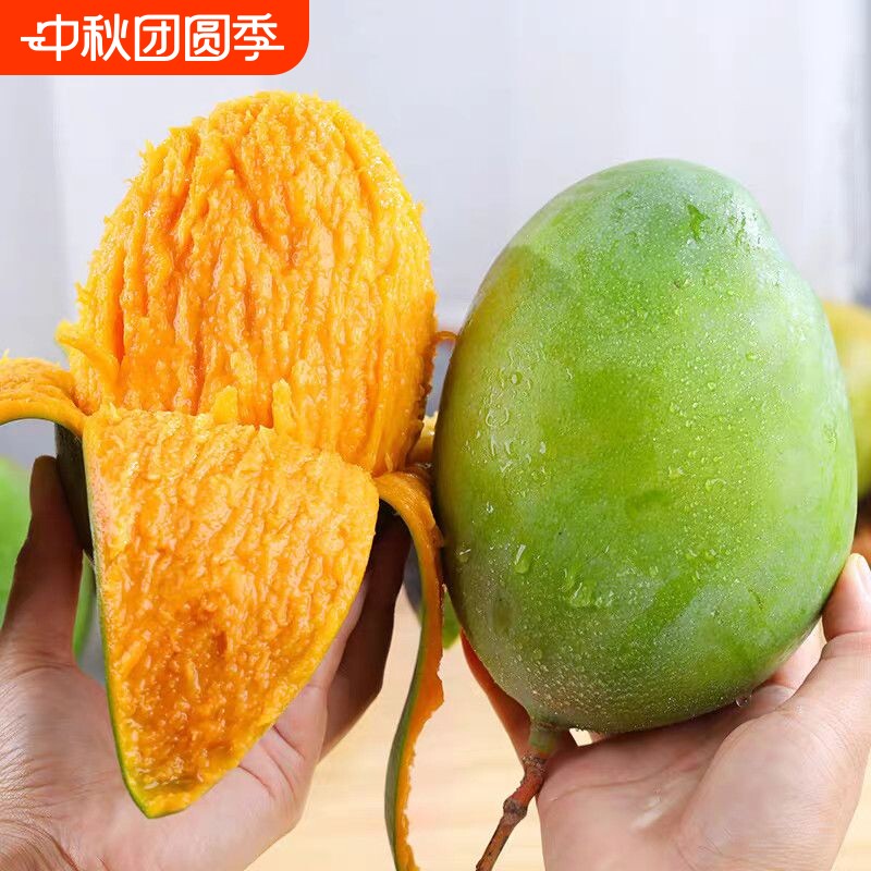 四川攀枝花现摘现发应季凯特芒