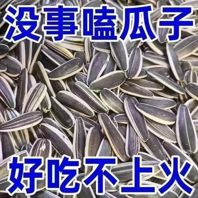 原味炒瓜子新货葵花籽炒熟炒货干炒熟瓜子大颗粒追剧瓜子零食