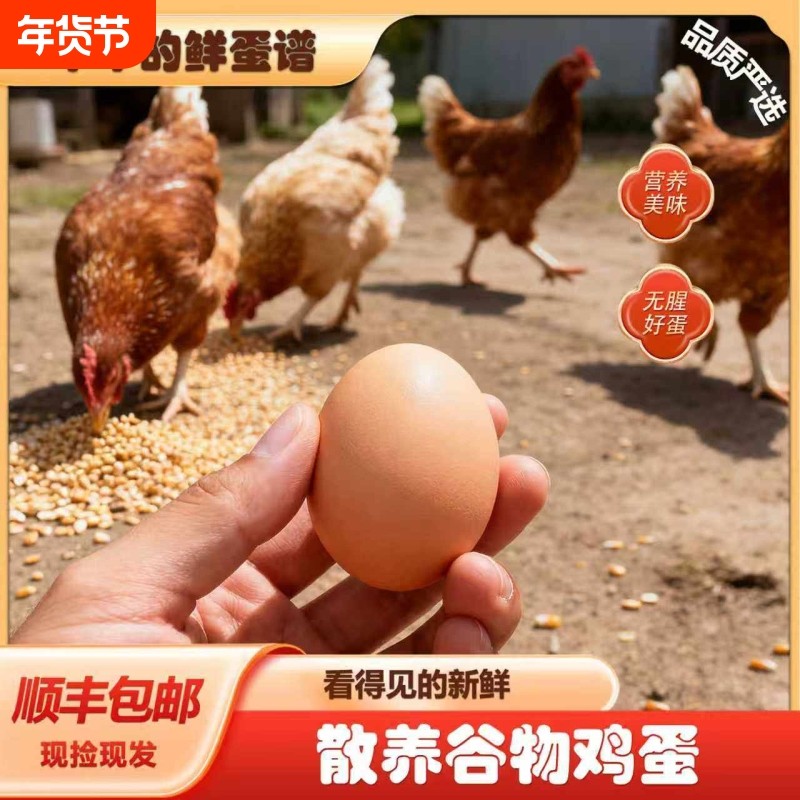 土鸡蛋新鲜正宗农家散养笨鸡蛋草鸡蛋农村无抗柴鸡蛋新鲜发货