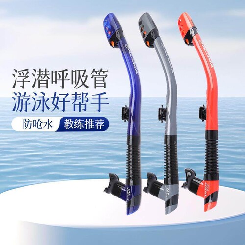 【6988人购买】成人儿童浮潜自由
