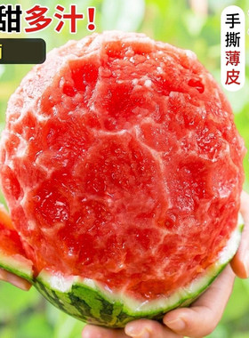 甘肃头茬沙漠种植手剥2k小西瓜