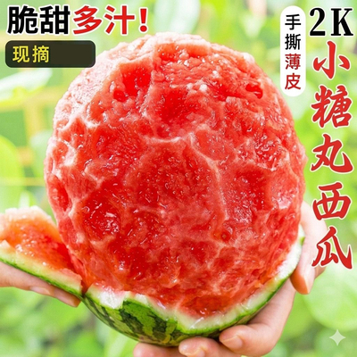 甘肃头茬沙漠种植手剥2k小西瓜