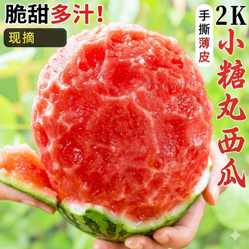 甘肃头茬沙漠种植手剥2k小西瓜