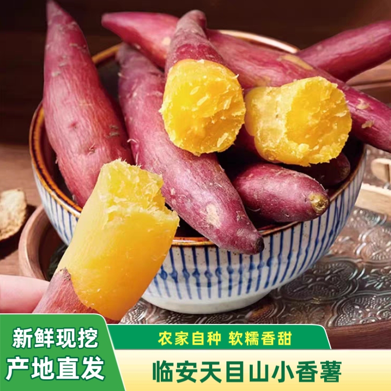 天目山番薯临安现挖小香薯软糯
