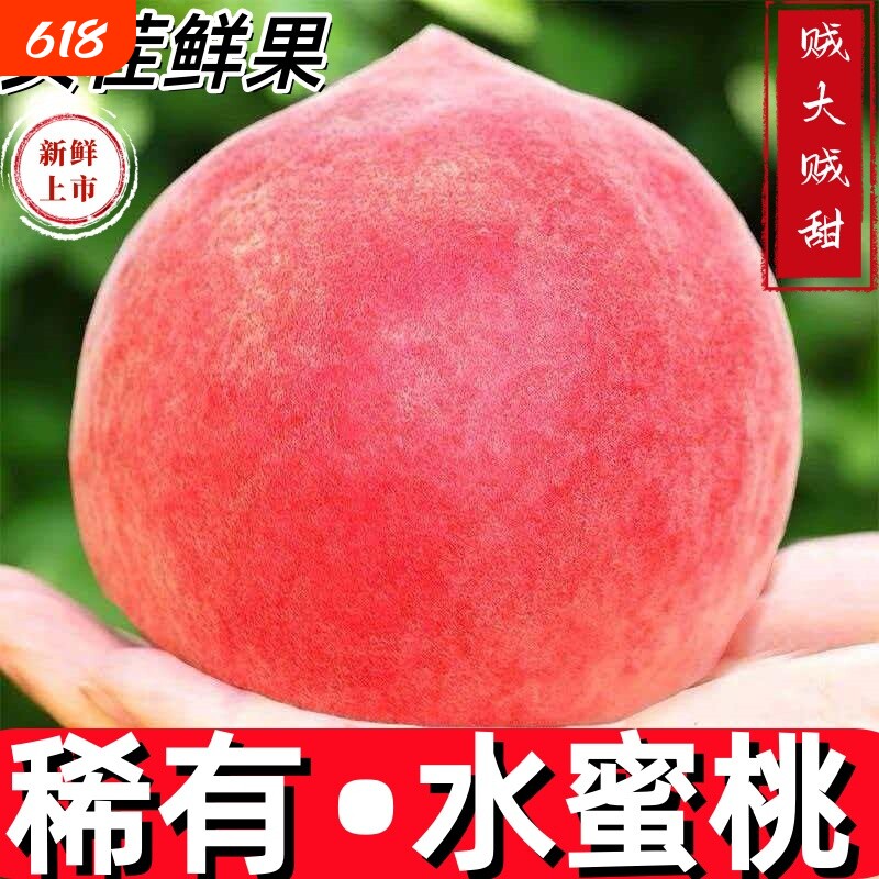 春雪水蜜桃当季5斤新鲜水果顺丰现货整箱包邮孕妇脆桃毛桃冬桃子