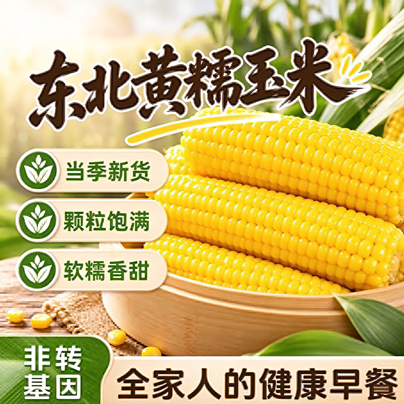 东北黄糯玉米非转基因甜糯玉米棒真空装粗粮代餐健康香糯早餐香甜