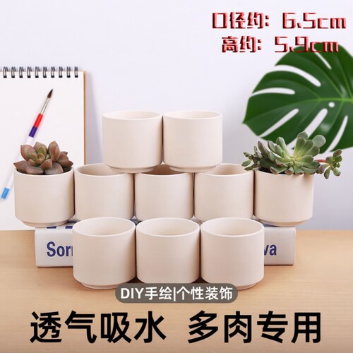 透气会呼吸陶瓷花盆可用颜料画画