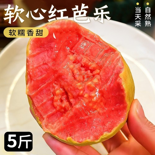 【5斤红心芭乐限购】软糯香甜