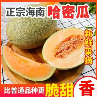 【爆甜】正宗海南哈密瓜西州密网纹蜜瓜薄皮爆甜新鲜水果当季整箱