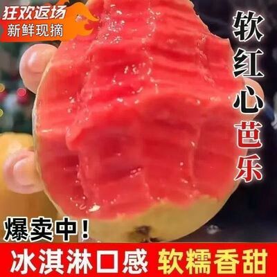 广东红心番石榴大果新鲜红宝石软糯红心芭乐胭脂红低糖轻卡孕妇果