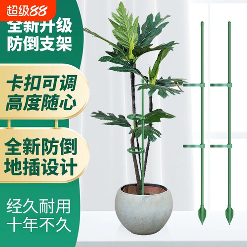 园艺支撑杆花架固定器蝴蝶兰花支架固定花神器防倒花杆爬藤金钱树