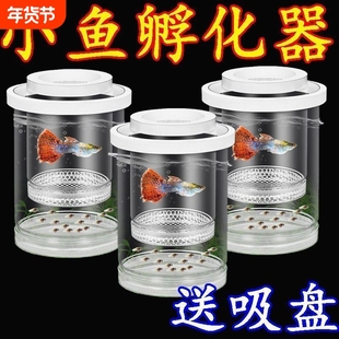 孔雀鱼繁殖隔离盒小鱼苗凤尾幼鱼母鱼产房漂浮孵化罐网鱼缸生产