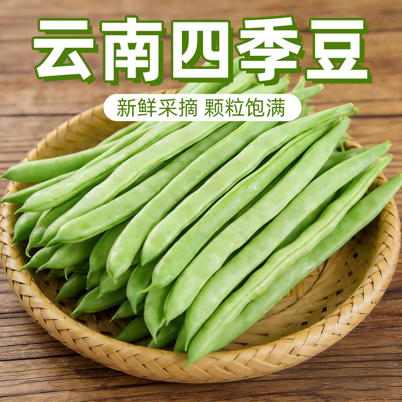云南新鲜现摘四季豆角鲜嫩应当季农家种蔬菜扁芸豆无丝无筋