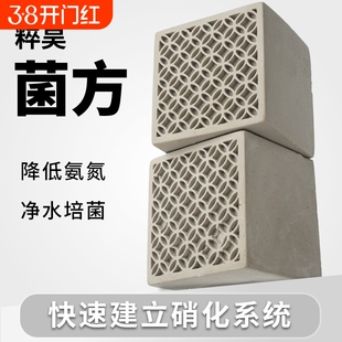 粹昊菌方鱼缸鱼池锦鲤硝化细菌水质净化稳定剂净水培养换水系统