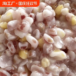 东北特产紫玉米碴子彩糯玉米碴子糯玉米渣粘玉米糁黑玉米碴农家