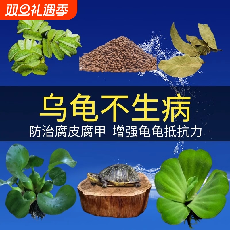 乌龟缸养龟专用龙眼木造景浮萍水草乌龟晒台摆件晒背皮甲木头沉木