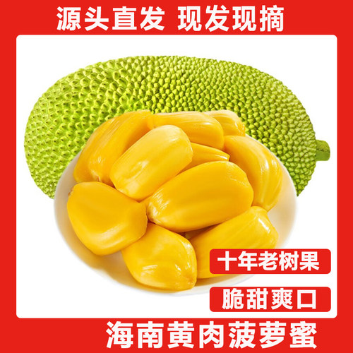 海南黄肉菠萝蜜新鲜水果干苞一整个包邮当季现摘干苞黄肉包熟爆甜