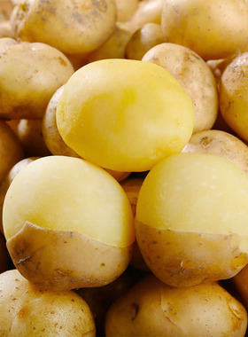 恩施黄心小土豆新鲜现挖3斤5斤迷你马铃薯马尔科洋芋[粉糯香甜]