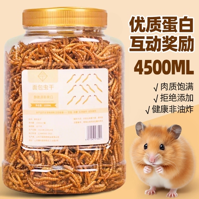 仓鼠零食面包虫干超大罐装4500ml