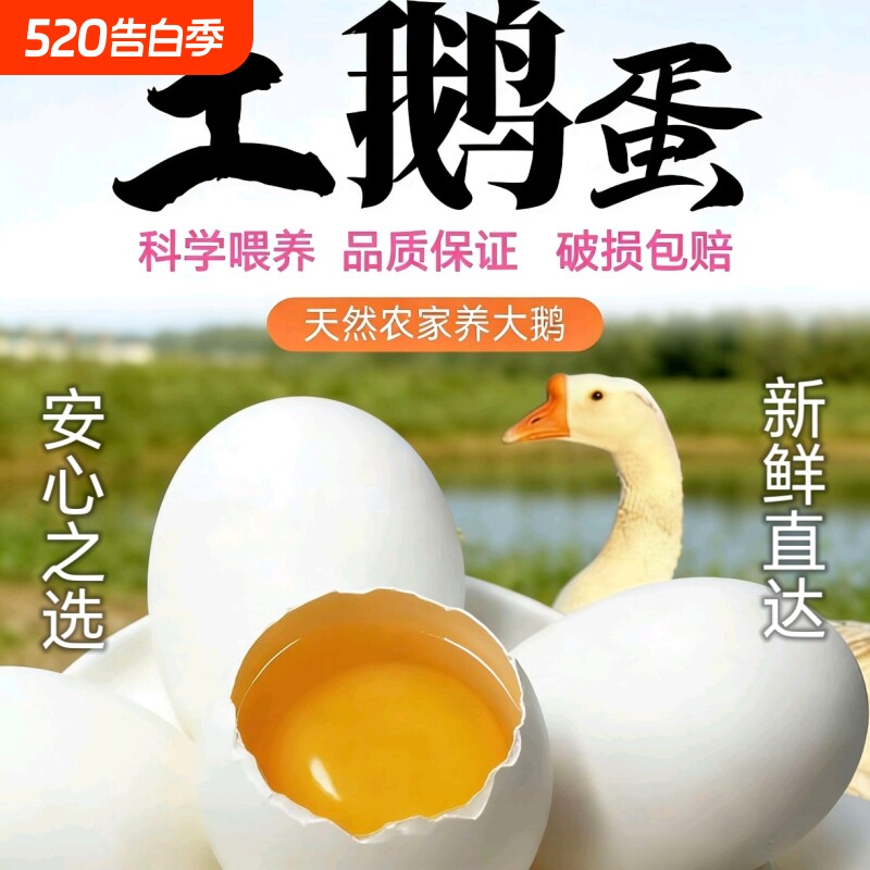 农家正宗散养土鹅蛋新鲜鹅蛋天然健康孕妇月子宝宝儿童老人营养蛋