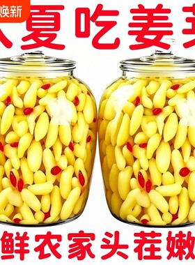 枸杞泡姜芽泡菜嫩姜芽山东淄博特产正宗嫩姜下饭菜整箱罐装开胃