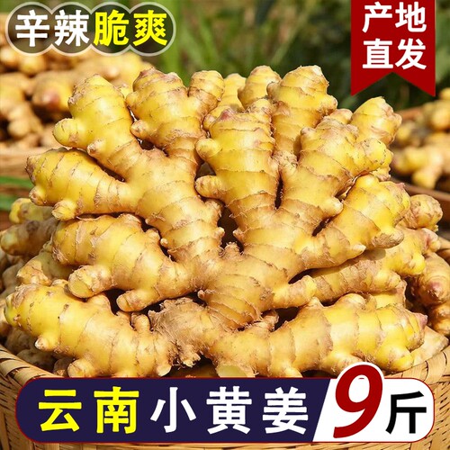 9斤云南小黄姜生姜老姜农家批发土姜现挖新鲜高山沙姜月子姜包邮