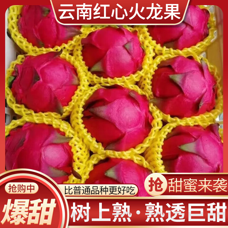 现摘红心火龙果金都一号新鲜当季水果大果红肉一级