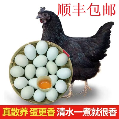 顺丰包邮农家散养乌鸡蛋绿壳鸡蛋土鸡蛋鲜蛋生态放养乌骨鸡蛋