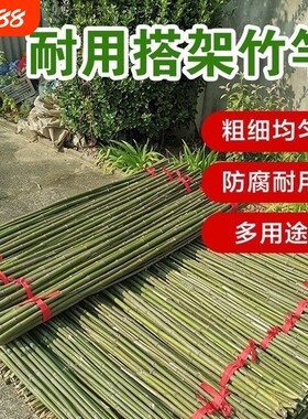 黄瓜豆角爬藤菜架竹竿架菜园搭架竹子户外篱笆围栏竹杆子批发栅栏