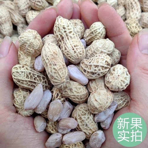 蒜香五香花生米|回头客超1000人