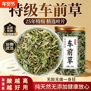 车前草中药材新鲜野生干货官方旗舰店泡水喝的功效与作用尿路感染