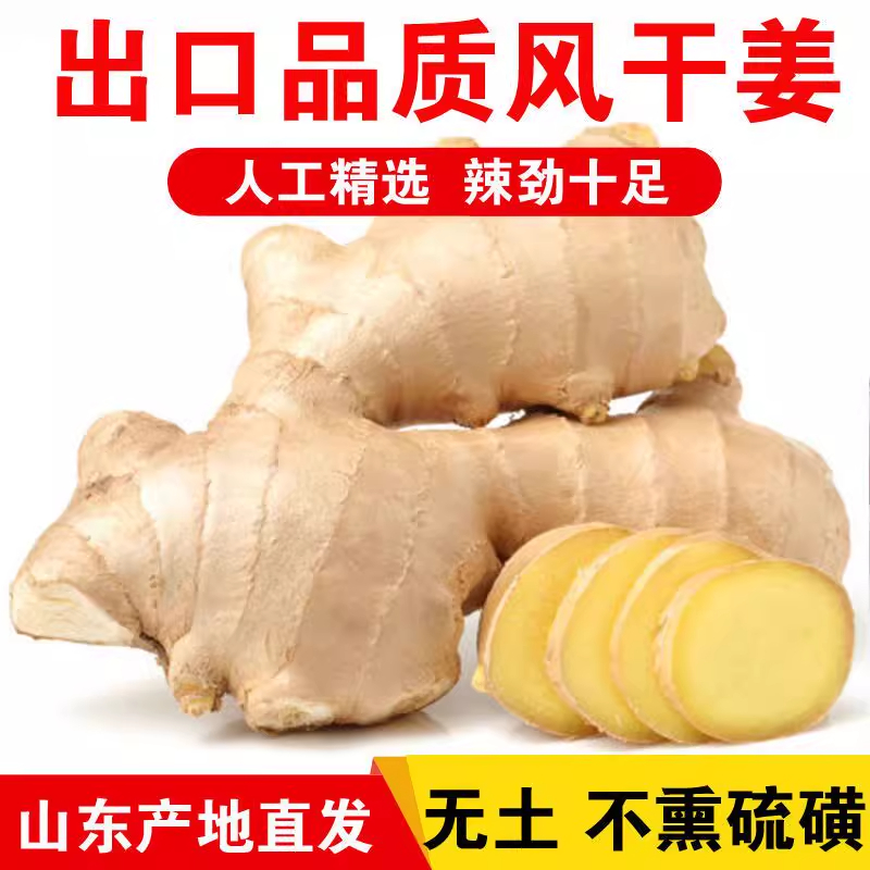 山东大姜3/5斤老姜 生姜无残留现挖新鲜大块姜老黄姜月子姜