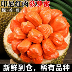 正宗印尼红肉菠萝蜜玫瑰红新鲜红色水果红宝石进口红心木菠萝包邮