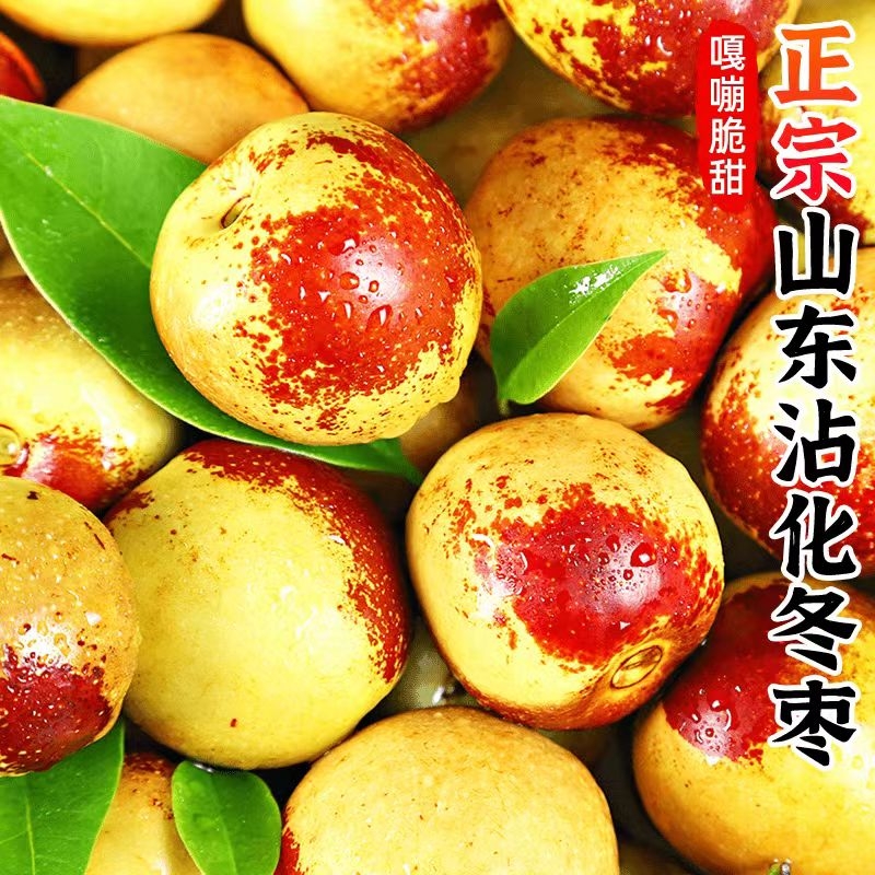 【超甜】正宗沾化冬枣超脆甜应季新鲜现摘水果大枣子现摘整箱批发