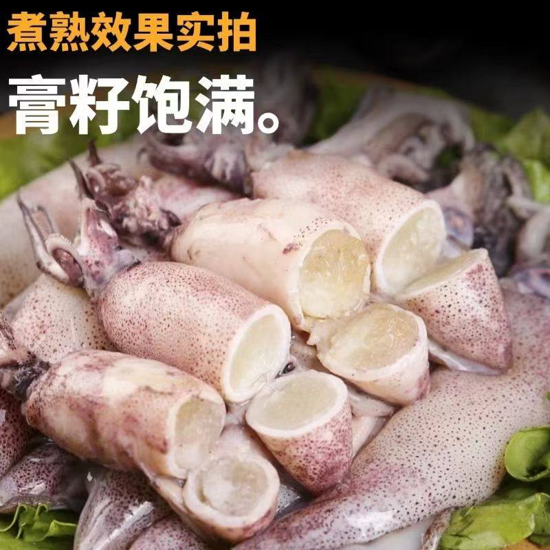 海兔子满籽墨鱼仔新鲜熟冻鲜活带籽笔管鱼大乌贼籽乌鱿鱼海鲜水产