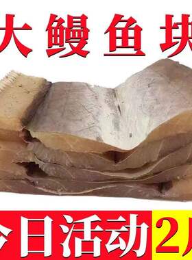 渔民新晒淡干鳗鱼干风干鳗鱼整条特大生新鲜500g美味