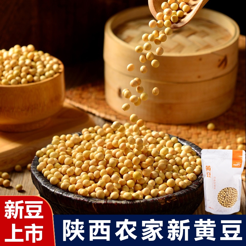 陕北当季新豆优质黄豆豆香四溢口感醇厚农家黄豆粗粮低脂高蛋白