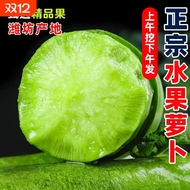 新鲜水果萝卜潍坊特产沙窝脆可生吃农家绿青萝卜当季蔬菜现发脆甜