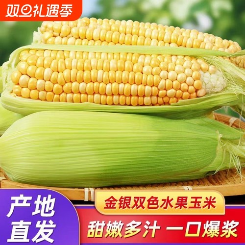 云南水果玉米香甜脆|万人加购