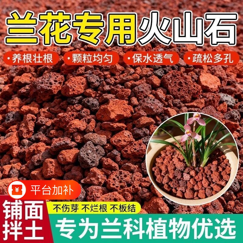 兰花专用火山石盆栽铺面鱼缸造景滤材火山岩底砂颗粒石头多肉植物